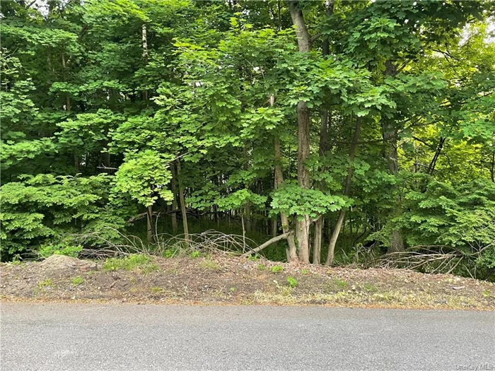 Come take a look at this 100 x 175 lot located on a dead end street. Property would be on well and septic. Close to shopping, train and restaurants.