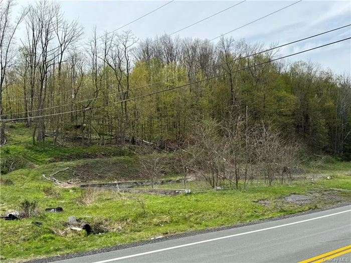 Amazing investment opportunity! With the potential to develop over 100 units on this buildable site just over two hours from New York City with almost immediate highway access this parcel has almost infinite potential. The property is zoned R2, suitable for high-density multi-residential use. This part of Sullivan County is developing quickly due to lower development and site work costs. With the Resorts World Catskills Hotel and Casino, and Sullivan County International Airport both under twenty minutes away among other local attractions there is no shortage of recreational activities here. For the right investor, this property could be a life changing investment! This is one of the last Multi-Family Zoned properties in the town of Liberty! For additional information or to schedule a showing, contact an agent.