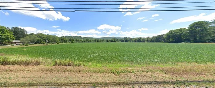 Also Includes Lot 87 (Tax ID#332800.022.000-0001-087.000/0000) with an additional 30.3 acres that abuts the Basher Kill for a combined total of 45.9 acres! Excellent location right off of Route 209! Boundary lines are approximate for illustration purposes only.