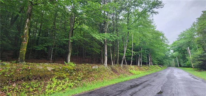 Fabulous piece of property in the central location near South Fallsburg. Upland, wooded, will make a great building site. Closes to all amenities in Sullivan county.