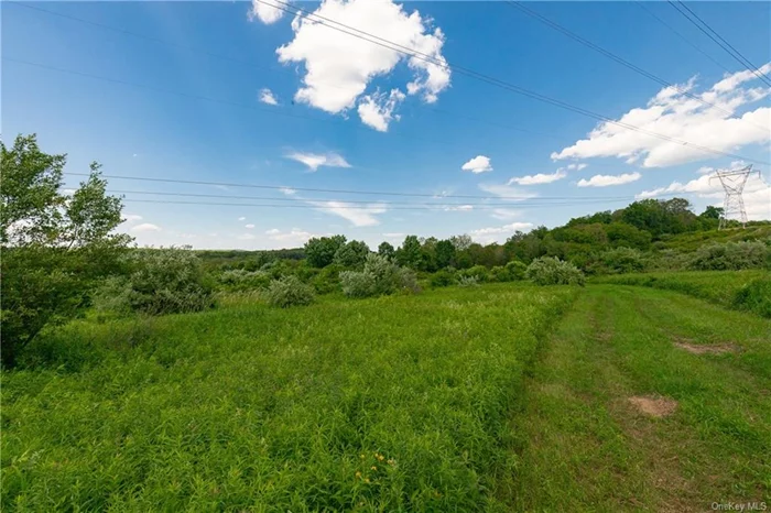 Area of large land owners providing tranquility for someone to create their private home site. Property is accessed by a right-of-way from Chestnut Ridge Road over an adjoining 37 acre parcel. This right-of-way has been roughed in and is accessible via an ATV type vehicle. Northerly boundary borders high tension electric line. An additional 37 acres is available (parcel 850200) for a total price of $699, 000.