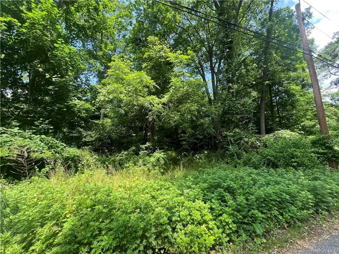 Corner lot with lake rights. Start your dream home or vacation home in this .35 of an acre for sale in Lake Peekskill. Close To Taconic Parkway. No BOHA.