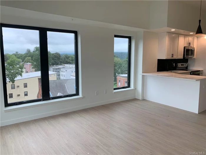 Large 2 bedroom duplex in The Academy. The unit features 1.5 bath. Huge windows and a great view of the sunrise and sunset. Quartz countertop and luxury plank hardwood like flooring. Larger storage area in unit. Well sized bedrooms and bathrooms. Laundry in building. Parking available for a fee. Pets allowed.