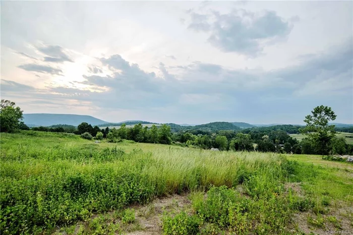 With magnificent Catskill Mountain views, this 28 acre estate property is the perfect site to build the home of your dreams. The land features exceptional privacy among gentle rolling fields and stunning sunsets over the valley and the Catskills. There is already a gravel driveway in place plus plans for building, landscaping and septic. Much of the surrounding land is forever protected through DLC conservation easements. Just minutes from Pine Plains and Millerton, and 15 minutes from the Metro North Train.