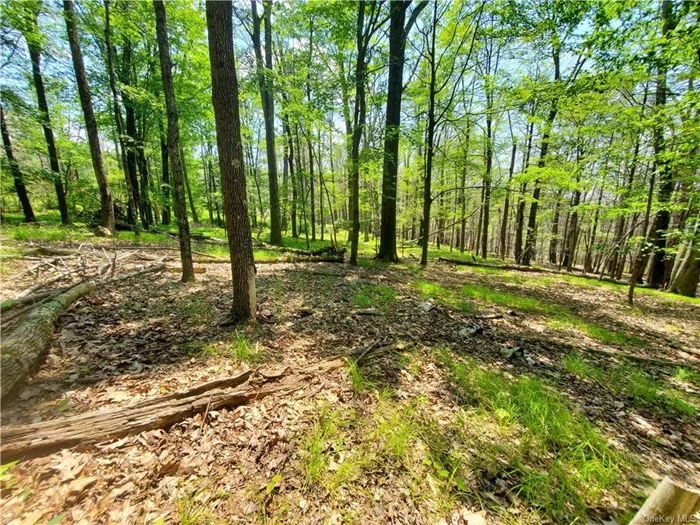 Affordable lot in the quaint hamlet of Cragsmoor. Enjoy the peace and nature on-top this special community minutes to 5000 acre Sam&rsquo;s Point Preserve and Bear Hill Preserve. Create your weekend get-away or full time home. Under 2 hours to the GW bridge.