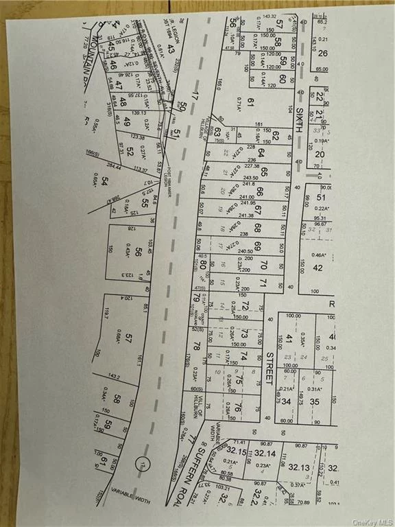 LOT IS LOCATED IN THE COMMERCIAL ZONE OF ROUTE 17, HILLBURN. PERFECT FOR CELL TOWER, RADIO ANTENNAS OR HOT DOG STAND WITH TOWN APPROVAL