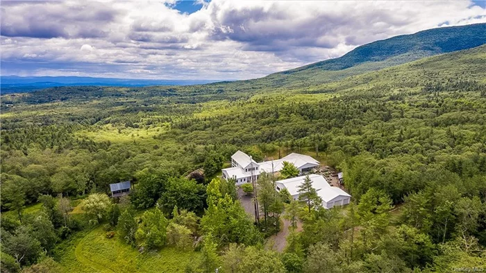 Welcome to Crow&rsquo;s Nest, a 6, 500 sq ft/4-bedroom retreat; a creative and unique haven perched high in the Catskill mountains, protected by the surrounding state park and forever wild conservations. In the heart of the home, the Great Hall is the perfect space for large-scale gatherings, surrounded on three sides by double-height windows with mountain views, multiple access points to the rear terrace and has a large limestone vintage fireplace transported from France. Adjacent to the Great Hall sits the chef&rsquo;s kitchen, breakfast area and family room featuring vintage Vermont salvaged wood trim, a bar area and 3, 300-bottle wine room that seamlessly blends the rustic with the industrial. The Library Loft sits high above the Great Hall and not only provides ample space for quiet rest, relaxation, and reflection, but also allows for additional sleeping quarters along with a full bathroom. Start each morning with the glorious sunrise views from the luxurious primary suite which boasts a private entrance from the outside, two walk-in closets and an oversized en-suite complete with hand-carved antique wooden doors, radiant flooring, spa tub, separate walk-in shower, and one of three laundry rooms. Guest bedrooms are separated in a private wing and surround a second family room and additional kitchen. The property includes a 2, 500 sf ft studio with sprung wooden floor, three car garage, vintage metal Quonset hut and floating treehouse facing sweeping views of the surrounding valley and across to the Berkshire mountains.