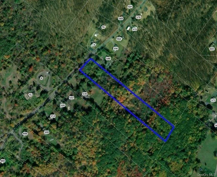 Not finding your dream home on the market? Then build it! This private 6.1 acre lot in town of Greenville, Minisink Schools, offers both seclusion and the opportunity to make it your own sanctuary. Located on the peaceful Old Mountain road, lined with quaint farm houses and farmsteads, and stunning views of all Orange county. Conveniently located closed to highways to make commuting a breeze, come see this parcel today and enjoy all the splendors that Orange county has to offer! Only 75 Miles to NYC!!