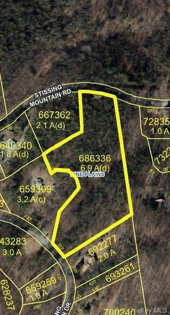 BOHA approved and drilled well in place. Here&rsquo;s a great building lot just shy of 7 acres in Pine Plains, NY. The property has road frontage on two quiet town roads; Stissing Mountain Rd and Stissing Mountain Dr. The owner has cleared an area for a homesite and has cleared passageway to other potential sites deeper onto the property. This property is close to the historic Stissing Mountain fire tower, hiking trails and recreation. Just a short few minutes to the heart of town yet surrounded by woods and nature. Come make your home in beautiful Pine Plains.