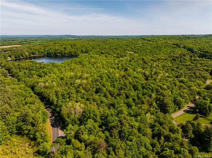 This magnificent 82-acre parcel of untouched land, set on the breathtaking North Lake of Elizaville&rsquo;s Twin Lakes, is an extraordinary opportunity for a discerning buyer. With 750 feet of pristine lake frontage and a wooded landscape, the property offers endless potential for a luxury lakefront estate or development. Located just minutes from Hudson and Millerton, this private sanctuary is perfect for those seeking tranquility, with paddle boat-only access preserving the serene atmosphere. Create a legacy of summers filled with joy and unforgettable moments.