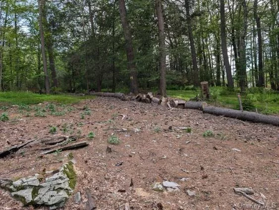 Cleared 1.09 acre building lot atop a hill with a view of Bodine Lake. Lot has been cleared for home site and has a drilled well in place. Septic plans on file.