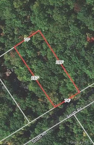 Beautiful wooded lot on a quiet road. Perfect to build your forever home or summer get away! This is a non conforming lot. Town of mamakating says can be built on with engineers report according to ecode 199-54. Priced to sell.