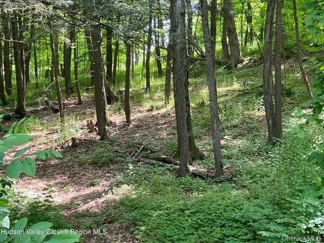 Tired of looking for a house and can&rsquo;t quite find what you are looking for? Why not buy dirt and build a brand new home instead! Located in the town of Esopus is this +/- 1.40 acre lightly wooded lot that is perfect to build your dream home. The unique thing about this property is that it offers access points from two different roads. One access point is off of Oakwood and the other is off of Alda Drive. This is a convenient location especially for someone who wants a little bit of a rural setting in a neighborhood but yet close to several amenities. You are minutes to downtown Kingston and the historic Rondout, easy commute to Poughkeepsie, New Paltz and more. Don&rsquo;t miss out on this great opportunity!