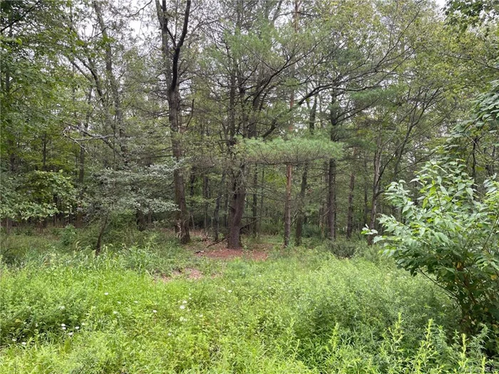 This beautiful, secluded mountaintop site is ideal for building your dream home. The sale includes 3 separate lots that will need to be combined to meet zoning requirements for a single-family home. The property will need to be engineered and approved by the town. The sale includes SBL&rsquo;s 64.-1-32.2, 64.-1-33.2, and 64.1-1-33.3. If you are looking for privacy, this is the perfect location for you.