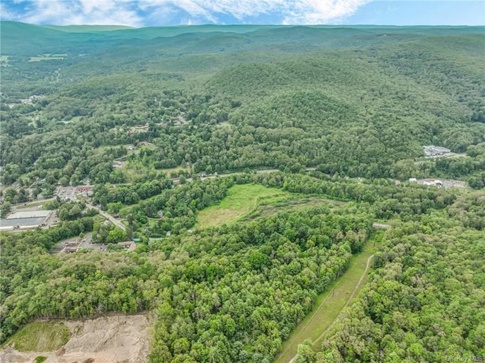 Stop searching for an amazing plot of land, because you have just found it. In a serene valley in Ellenville, this pristine, untouched parcel of land has remained peaceful and quiet for almost a hundred years. This virgin land is also incorporated in the village. A truly great place to relax and call your own.