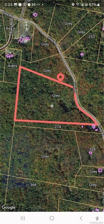 Nice location on Grey Road in the Township of Fallsburg. This parcel is closer to the Thompsonville end of Grey Road rather than the Woodridge end. The parcel previously had a camp on it many many years ago. You would have to try to get a change in zoning to do a camp on this now. Grey Road has been growing in recent years Several year round groups meet for prayers.