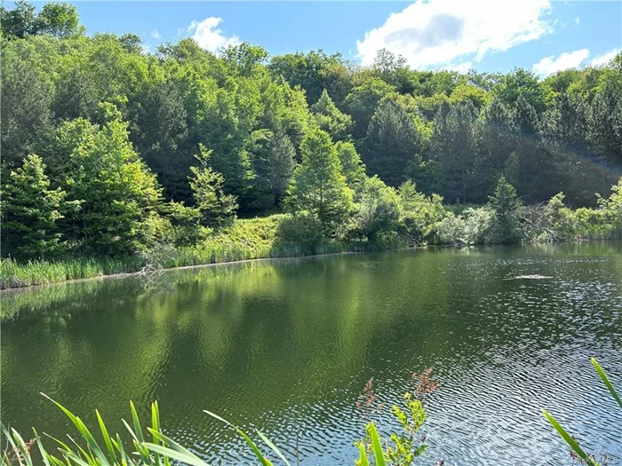 Escape to your own private paradise on 44 secluded acres in the heart of the Catskills. Located just 10 minutes outside of Roscoe, NY, this retreat offers tranquility and natural beauty. At the heart of the property is a stunning spring fed pond, covering over an acre and a half and stocked with large-mouth bass, ideal for fishing, kayaking or simply relaxing and enjoying your vast, wooded estate. There is a house on the property that needs renovation but property is located in Town of Colchester known for super low taxes and mountain vistas. Whether you&rsquo;re looking for a weekend getaway or a full-time residence, this property promises a life of privacy and unlimited adventure if you enjoy the outdoors  bird-watching, hunting, fishing, hiking, ATVs. 44 acres not enough? You are moments away from Bear Spring Mountain Wildlife Area, Cherry Ridge State Forest and Russell Brook Falls all offering unlimited outdoor activities. With the quaint town of Roscoe just a short drive away, you&rsquo;ll have access to world-renowned trout fishing, charming shops, delightful eateries, hand-crafted breweries, golfing and all the amenities you could want while being close to major transportation and 2 hours from NYC. Don&rsquo;t miss this rare opportunity to own 44 acres of Catskill heaven!