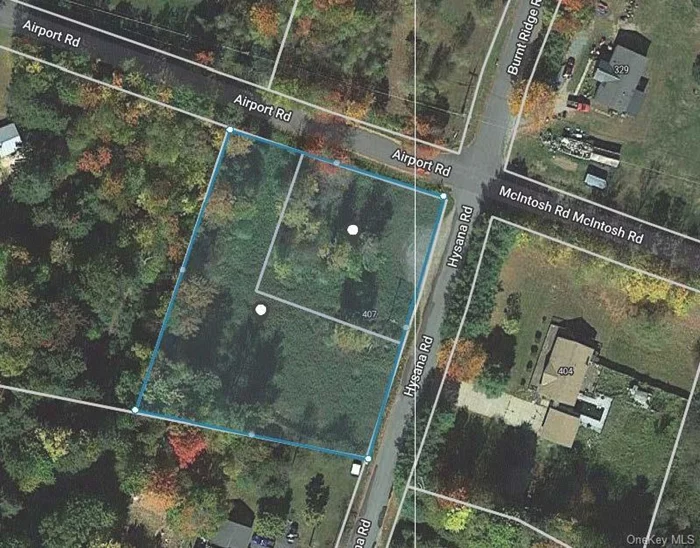 2 lots included in this sale. 7-1-41.2 and 7-1-41.4 total .94 acres. Per fallsburgh town building department, lots must be combined to build 1 family home. Please verify with town of Fallsburgh. Partially cleared corner lot in a nice residential neighborhood, in tri-valley school system. Priced right. Taxes reflects both lots.