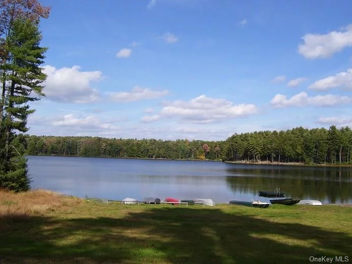 5+ acre lot in a gated community with lake rights to Timber Lake, come build your dream home! Enjoy fishing, swimming, boating on a beautiful private lake in a gated community.