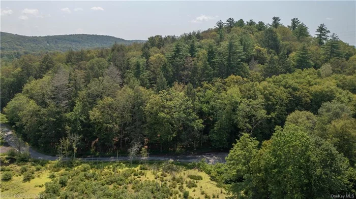 At the end of a secluded country lane lies a 5.3-acre wooded parcel, elevated for added privacy and charm. To the west and north, NYS conservation land offers expansive woodland and wetland buffers, ensuring a tranquil and private setting. Neighbors to the south and east are either across the road or shielded by rolling terrain and dense woodlands.  The site, centrally located on a gentle rise, is ideal for a home, with select clearing providing potential views of the vibrant wetlands across the road on the NYS Conservation land. Board of Health approvals for a 4-bedroom design are underway with the County.  For outdoor enthusiasts, a trailhead is conveniently located at the end of the dead-end road, offering immediate access to hiking. Situated in the township of LaGrange within the Millbrook Central School District, this property invites you to envision your future home amidst a lush mix of mature deciduous and evergreen trees. Come explore with your architect or builder and begin bringing your vision to life in this serene and picturesque setting.