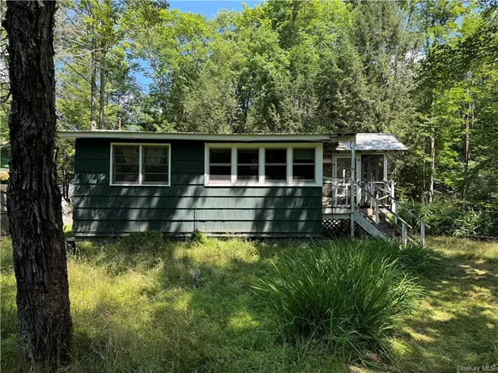 This 3 Season Cottage Charmer is perfect for the buyer with vision and ready to move in and decorate style plus have some fun!! Cozy easy and a great retreat for your creative mind to ignite. The cutest tiny home ever in Sullivan County. Just around the corner from the lake and the amenities that Smallwood offers..There is an HOA with fees. Close to Bethel Woods, and White Lake Restaurants and shopping. Big Kevs BBQ and Dunkin Donuts too. Easy access to rt 17 and back to the city. Come look and buy your new forest getaway this weekend.