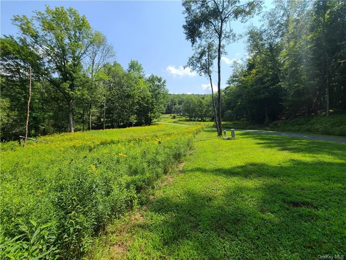 This tranquil 5.25+/- acre building lot is the perfect choice for nature lovers and those who want their privacy. Located in The Highlands, a premier gated country community just across the street from Bass Master Hunter Lake. Small upscale secure community puts privacy, peace and serenity at the forefront, and is very near to all the beauty and fun that the Sullivan County Catskills has to offer yet makes you feel worlds away. Enjoy the small babbling brook that runs through this beautifully sloping and level lot nestled in nature. Loaded with abundant wildlife and a mix of evergreen and deciduous trees. There appears to be a potential pond sight and lovely stonewalls meander through the property. Jaketown brook snuggles up to the rear according to the maps. This beautiful homesite is just minutes from Bethel Woods Center for the Arts, area lakes, hiking trails, Resorts World Casino, Kartrite Water Park, Monticello Motor Club, great restaurants and more!