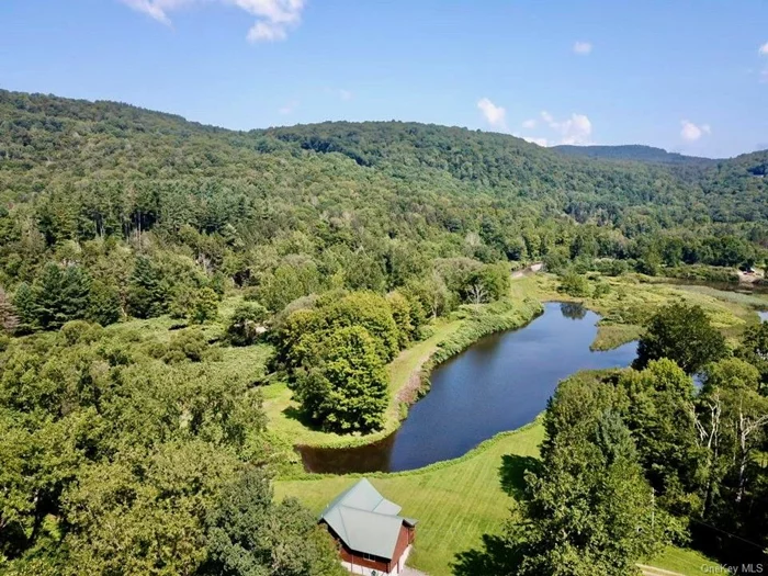 Welcome to the Eagle&rsquo;s Valley Retreat! Nestled on 57 pristine acres that begin at the edge of the town of Roscoe NY, this Beaver Mountain Log home offers the ultimate retreat in the historic Troutown USA! The property boasts over half a mile of stunning river frontage on the Beaverkill River, for some of the best fly fishing in the area. The picturesque 6+ acre pond provides an idyllic setting for boating, swimming, fishing and wildlife observation. The home&rsquo;s main floor features a large open living room with cathedral ceiling, spacious kitchen/dining room, 2 bedrooms and full bath. The primary bed & bath is on the second floor with a balcony overlooking the pond. The large covered front porch frames the breathtaking views of the surrounding landscape, a great place to watch the Eagles soar. The property is perfect for nature lovers and those seeking tranquility. In the Spring and Fall, turn-off the alarm clock to wake-up to many different type of birds singing in the morning as the pond serves as a pitstop for a variety of migratory birds. When you are not wading and casting in the Beaverkill, teach your kids or grandkids about deer, beavers, groundhogs, otters, turtles, rabbits and wild turkeys roaming the property.  This unique property promises a serene and secluded lifestyle while still being conveniently located close all the amenities of Roscoe and Livingston Manor. All this just 2 short hours from the GWB. Don&rsquo;t miss out on owning one of the few large parcels on the Beaverkill River!!