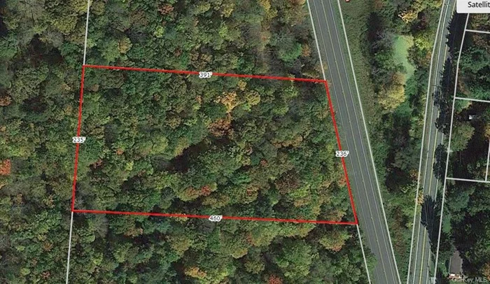 2 +/- acres in a great location is ready for your dream home. Wooded for privacy and mostly level. This is minutes to Callicoon for movie theatre, restaurants, and Bethel Woods for concerts and festivals. Drive down to the Delaware river for rafting and tubing. Close to many points of interest. Sullivan County has the mountains, lakes and rivers. Come and explore the Catskill mountains!