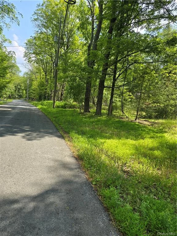 Rural area property consisting of 6.95 acres, there had been a cabin there at one time, they used the stream that runs thru the property for a water source. There isn&rsquo;t a septic or well. Area has other nice homes. Build your dream getaway or year round residence on this semi wooded property, Level area in front, and the back portion is hilly. 310 feet road frontage, left border is 1056.5 feet, back line is 344.6 ft and right border is 880.3 feet.