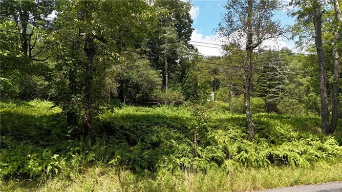 Rare opportunity, 10.46 acres of raw land available for purchase for the first time in 40 years! 161ft of road frontage zoning code RD2 in the town of Liberty. Experience the best of Sullivan County with proximity to many new local eateries, breweries, hiking and other outdoor activities. 2 hours from NYC!