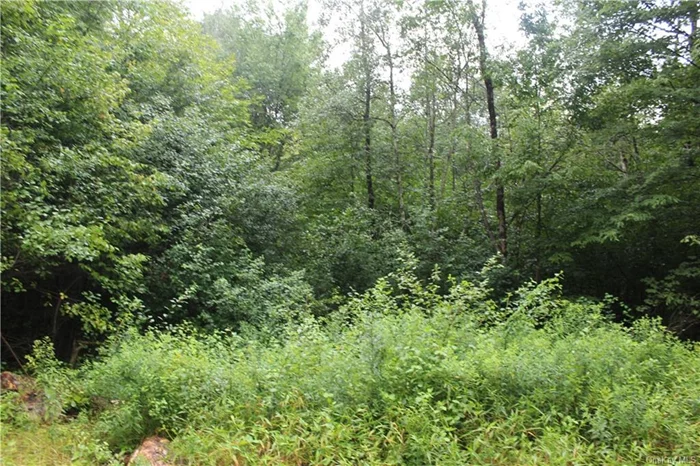 Top of the mountain mixed growth building lot. Nice flat lot...one of the few in Chiloway! Deer, bear and turkeys are the neighbors. Electric at the road.