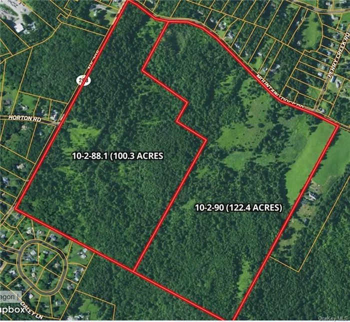 Secure one of the largest remaining land parcels in the Town of Blooming Grove, spanning 222.7 ACRES. This property is perfect for investment, development, or creating your dream estate. With significant road frontage on both State Route 208 and Mt. Lodge Road, the location is highly accessible. A feasibility study suggests the potential to build 98 homes, offering ample development opportunities. Don&rsquo;t miss out on this rare opportunity to secure a valuable piece of real estate.