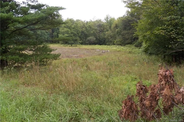 Total of 8.9 acres. 5.8 acres in the Town of Mamakating and 3.1 acres in the Town of Fallsburg. Lots are abutting. Both lots are being sold together. On a quiet country road. Well has not been used in yrs. so seller is not representing it. Great for hunting or building the house of your dreams. Septic required. Great place to build your home and relax with the peaceful sounds of country living and natural wildlife.