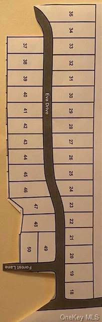 Sackett Lake Estates is a build ready community. The subdivision is only 4 miles from Monticello. The community roads have been dedicated. Water, Sewer, Electric and Phone service has been brought to each lot. Here is the perfect opportunity to build a community of single family homes and community structures. Although this offering is for 32 lots, there are 80 lots for sales and seller will consider smaller bulk sales and individual lot sales. Rights to Sackett Lake is deeded to each lot.