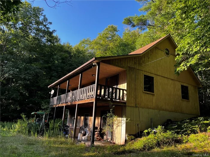 Bring your scrub brush and broom and help this beauty shine again. Private setting in low tax area is where you will find this cozy 2+ BR, 1B chalet on 2 combined lots totaling over 30 PRIVATELY set acres a stone throw from the Pepacton Reservoir & bordering NYC & then State lands! Full walk out basement just begging to be finished, cathedral ceilings in great room, large loft for 3RD Bedroom or bonus room, front covered porch, oil heat and more. Shared Private dirt road access so a 4X4 is needed, but this one is WELL WORTH IT! Hurry!!!!