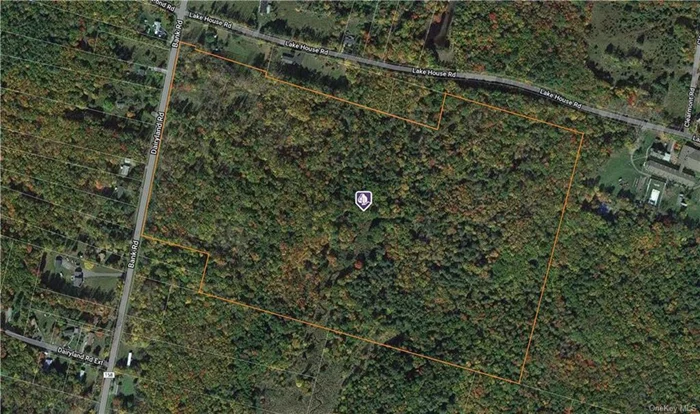 Discover this exceptional 64+ acre parcel of raw land in Forestburgh, NY, located just outside the community of Woodridge. With an impressive 1, 066 feet of road frontage, this expansive property offers a rare and unparalleled investment opportunity. The land&rsquo;s vast expanse, nestled amidst the serene beauty of the Catskills, provides the ideal canvas for development or expansion of your portfolio. Perfectly situated just under two hours from New York City, this property offers the best of both worlds: a tranquil, rural retreat within easy reach of the city. Minutes away, you&rsquo;ll find many dining options, shopping, and seasonal activities that cater to a wide range of tastes and preferences. Enjoy the peaceful surroundings while being close to Woodbourne and Monticello, known for their welcoming environments and vibrant seasonal communities. Whether you envision private estates, a community retreat, or a personal sanctuary, this land offers both convenience and seclusion. The generous road frontage ensures easy access for future development while maintaining the privacy and serenity that make this area so unique. Seize this unique chance to invest in a property that promises both growth potential and a peaceful environment. Ideal for a discerning buyer looking to expand or create a lasting legacy, this land is ready to fulfill your vision. Don&rsquo;t miss out on this remarkable opportunity!