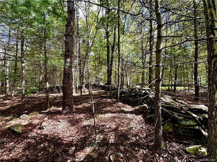 BEAUTIFUL AND VERY PRIVATE BUILDING LOT WITH SCENIC VIEWS OF THE DELAWARE RIVER LOCATED IN POND EDDY, NY - This 3.95 acre parcel features stunning stone walls throughout, a mix of mature trees with enough evergreens for year round interest. In the winter months you&rsquo;ll be able to clearly see the Delaware River and the Pennsylvania mountains across the way. Electric is available on the main road and can easily be brought into the building site. Approximately 2+ hrs from NYC,  20 minutes to NY trains makes this special parcel a very easy commute. Close by you&rsquo;ll find many quaint towns for dining/shopping, the Delaware River for rafting/fishing, Bethel Woods Preforming Arts Center, Kartrite Indoor Water Park, Resorts World Casino, skiing at Holiday Mountain/Big Bear at Masthope Mountain, Kadampa Mediation Center, many amazing hiking/biking trails and absolutely the best farmers markets you&rsquo;ll find anywhere, all for a very beautiful life in the country.