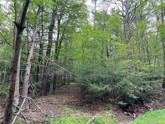 A stunning 5-acre property in town of Wawarsing, surrounded by lush forests, natural stones, and picturesque landscapes. Enjoy nearby walking trails, hiking, and parks. This beautiful wooded parcel is just minutes from town and restaurants. Build your dream home in this serene and idyllic setting.