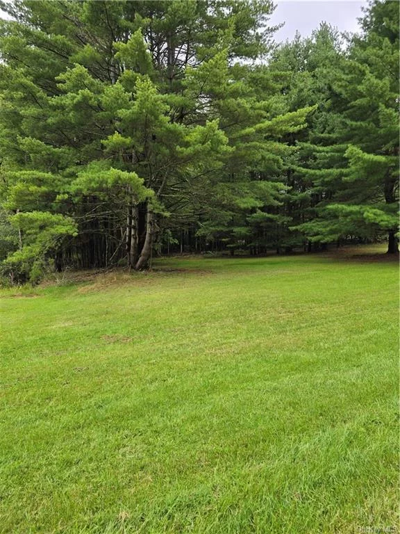 Level 1.5 acre lot available and ready to put your building plans into effect. Quiet rural roads lead to this level parcel that offers 209 feet of road frontage cleared and mowed, a trail leads toward the back of the property. Mature trees, a mix of pine and hardwoods. Close to the Rondout reservoir which offers a great fishing experience, watch the eagles soar, hunt on nearby NYC reservoir property. This is a nature lovers paradise. A great place for a weekender or full time living. Near enough for attractions such as the Resorts Casino in Monticello, with great dining and entertainment, the Kartrite indoor water park and 4 star hotel. Enjoy a short trip to the LegoLand amusement park just a little more than 35 miles away. Plenty of places for hiking, mountain climbing, watch the hang gliders, or brave the mountain jump and soar like the eagles. Minnewaska state park preserve, the cliff at Sams Point, explore ice caves, snowshoeing, cross country skiing, can be enjoyed in the winter months along with ice fishing, snowmobiles, ice skating. There is so much to see and do. Or do nothing but relax and take in the nature and observe the wild life right in your own yard.