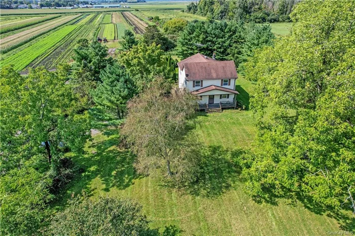 A Farmers Paradise !! Almost 35 Acres of the most Prime Black Dirt surrounds this Farm. Highly Sought after, this Dirt is Very Rich in Minerals And is perfect for farming. Perfectly Located in the Town of Goshen with Goshen Schools. This Magnificent Property Offers multiple Sapious Outbuildings that can be used for Storing, Processing, etc. The Lovely Farmhouse Features a Large Living Rm / Din Rm combo. Huge Eat in Kitchen with solid wood Cabinetry, Pantry, And Eating Area. Beautiful Sundrenched FamilyRoom With Vaulted Wood Ceilings And lots of Windows to enjoy All 4 Seasons. Full Bathroom and Large Deck for Barbecues and Entertaining. Second level offers 3 Generous Size Bedrooms a Full Bath And a Master Bedroom. Full Attic and Full Basement. This is a must See Property. Minutes to Rt 17