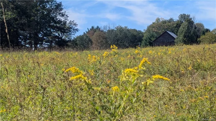 Welcome to Your Dream Canvas. Imagine a tranquil escape where the hustle of daily life melts away, and nature&rsquo;s beauty becomes your backdrop. Nestled in the serene landscapes of Bethel, NY, this expansive 2+ acre, mostly cleared lot offers an unparalleled opportunity to build your dream retreat.  Perfectly positioned on Major Marie Rossi road, this property is a gateway to both seclusion and convenience. Embrace the peace of a rural setting while being just moments away from local amenities, charming shops, and recreational activities that Bethel has to offer. This land offers you a blank slate to create a stunning residence or weekend getaway. The open space allows for imaginative design, whether you envision a sprawling estate, cozy cottage, or a serene garden sanctuary. Close to Bethel Woods, fine dining and antiquing.