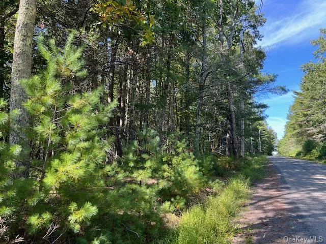 Looking for that perfect parcel of land to build your dream home? Well here it is! Great 2 acre corner lot in Glen Spey NY! Beautiful harwood and pine trees surround you. Added bonus Join the Ozeriany Road Property Owners Association for Lake Access to Lochada Lake for swimming, fishing, kayaking and canoeing. Close to area convenience, Port Jervis commuter trains, farmers markets, coffee shops, schools and the Delaware River for recreations. Only 2 hours NYC!