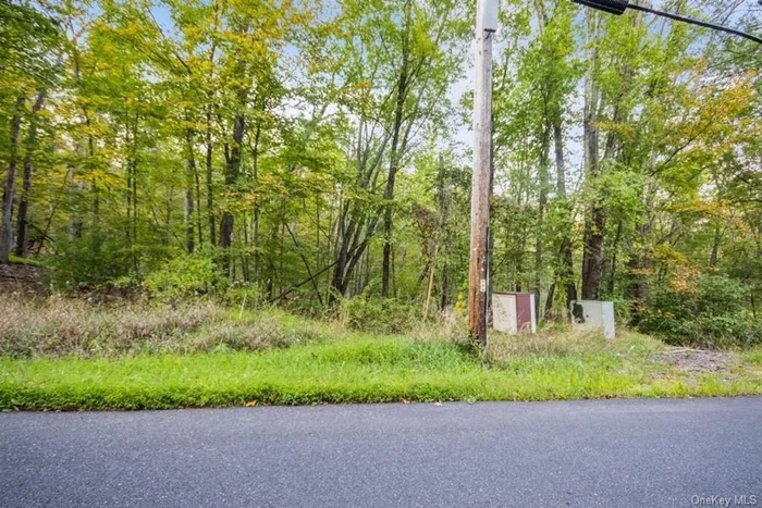 Lovely, lightly wooded 15.6 acre parcel perfect for a very private house site, and also prime for subdivision (with proper permitting).  Terrific location, less than 15 minutes to Kingston and Exit 19 of the NYS Thruway and 5 minutes to the center of Stone Ridge.  Ample road frontage on Ashokan Road and additional 25 foot access on Lapla Road, making multiple access points available.   Located in the A4 zoning area which requires 4 acres per lot, so 3 beautiful lots are possible.  Only 90 miles from Metro NY and so close to everything the Mid Hudson Valley and Catskill region has to offer.