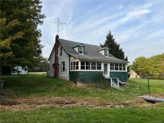 Wonderful fixer-upper oozing with potential in a tree filled neighborhood, perfect for first time home owners or newly married couple. Just a little TLC and this home could be a quaint cape style home with enclosed front porch. Your new home is just 12 miles from Bethel Woods Center for the Arts and just minutes to the hot town of Narrowsburg, New York where you will find fine dining and shopping. Just imagine.