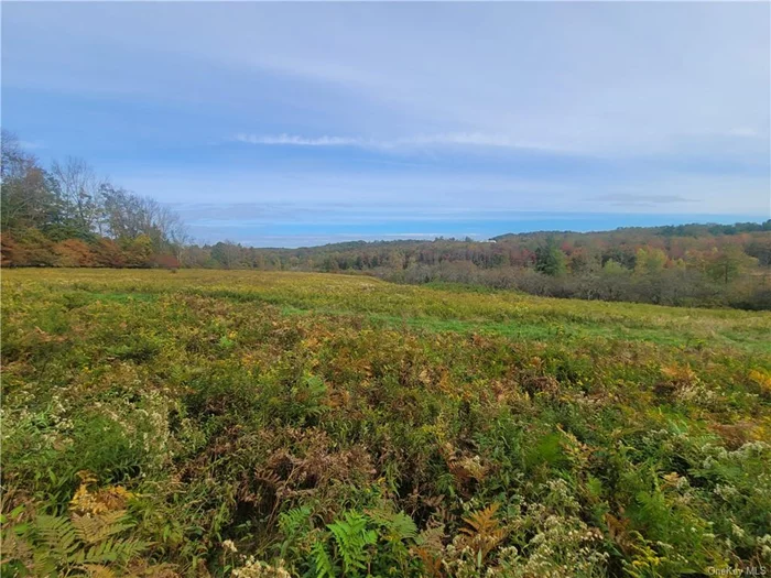 38.66 acres of land that consists of fields, frontage on E Mongaup River, trails for atv/ hiking, approx 680 ft of road frontage on Mongaup rd in Hurleyville ny. Would make an excellent site for a river front home or cut off 10 acres and make 2. 250 of river run through the property in the lower section about mid way through the parcel. Fruit trees through out the parcel and lots of wildlife.