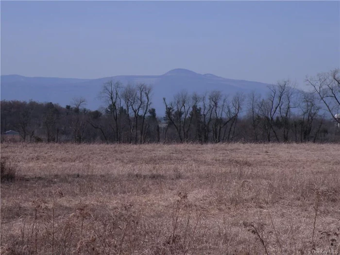 Livingston NY Farm is a 147 acre parcel with full Catskill views open and wooded. Currently leased to local farmer. Ideal for estate or development, possible glamping site. Consists of 3 subdivided parcels each with its own access; 80 acres, 38 acres and 27 acres. Several (5) separated open fields bordered by woods.There are some delineated wetlands. Ideal for family compound, development or glamping/tiny houses. Lots may be purchased separately. 80 acres for $775, 000. 38 acres for $304, 000; 27 acres for $385, 000. Agent-Only Rmrks Broker owned