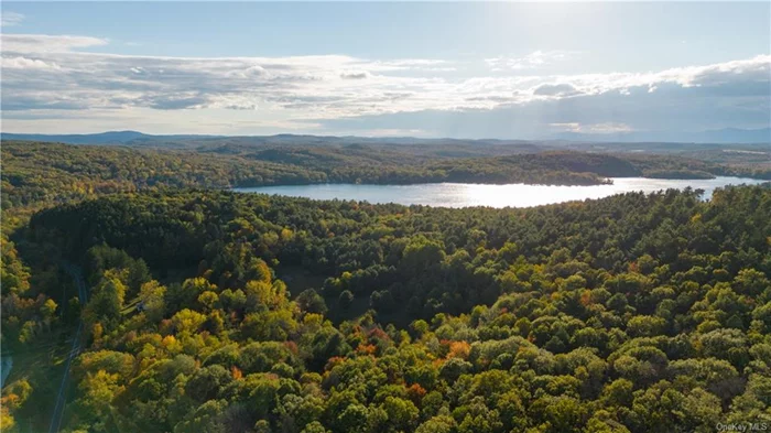 woodland has two building sites with BOH approval served by a driveway already in place. Create a dream compound, or subdivide and sell to offset costs. Either way, the topography offers plenty of privacy. Recently featured in the Wall Street Journal, Copake Lake is one of the most desirable locations in Columbia County, with easy access to the county&rsquo;s largest lake and tons of amenities and attractions. The Copake Country Club and golf course are only 5 minutes away; the shops and restaurants of Hillsdale, Hudson, and Great Barrington are all under half an hour. Truly a special spot in an very sought-after area.