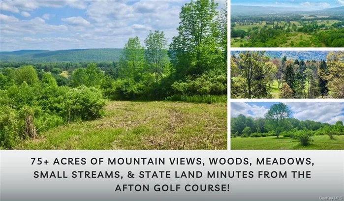 Welcome to 75+/- acres w/ breathtaking mountain views, just 5 minutes from the Afton Golf Course clubhouse! Wake up to expansive vistas of the Catskills to the east, while enjoying a unique proximity to the 17th tee across the street! For golf enthusiasts, this property offers a chance to live with the experience of being on the course, w/ the added privacy of your own land. This exceptional parcel offers a rare combination of natural beauty & recreational convenience. With its ESE orientation, this land could be ideal for generating solar energy, making it both scenic & sustainable. Key features include: *Town road *Spectacular mountain views *Adjacent to Oak Ridge State Forest *Close to Afton Speedway, Oquaga Creek State Park, & Animal Adventure Park *Access to I88, to Binghamton & Oneonta *About 3+/- hours from NYC Whether you&rsquo;re looking to build your dream home, create a weekend getaway, or enjoy recreational pursuits, this property offers limitless possibilities.