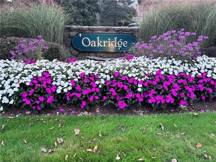 Popular Oakridge Condo complex in Vista. Beautiful setting backing onto natural vista; tranquil view from dining room and private patio. Immaculate and updated. Excellent choice for 1st - time homeowner or down-sizer. Move-in ready!