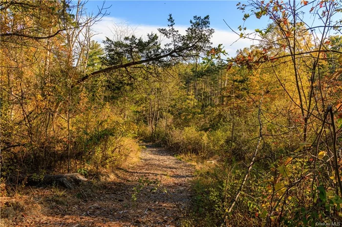 A network of trails winds through 14+ acres, ultimately leading to a private waterfall on the Landsman Kill. There is a large poured concrete foundation in place with drilled well ready for expansion. Two hours from New York City and with easy access to Amtrak, this historic Hudson Valley property is idyllic yet accessible.